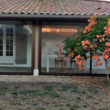 Maison Au Bord De Dune Et Ocean Semesterbostad *